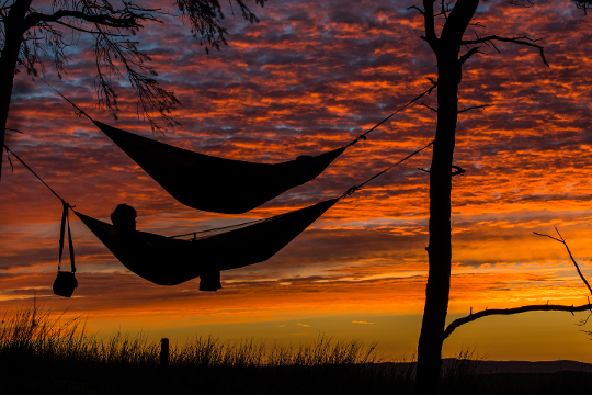 Two people sleeping in a hammock in front of a purple, orange, and yellow sunset.