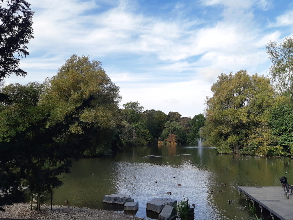 A duck pond surrounded by trees under a bright blue sky with fluffy clouds.