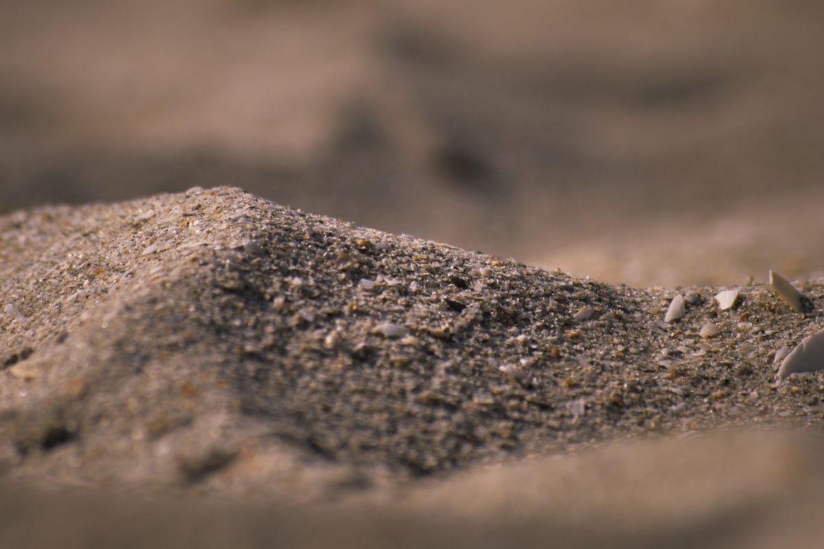 Close-up of grains of sand